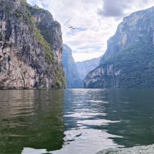 Chiapas<br>Noviembre 2024