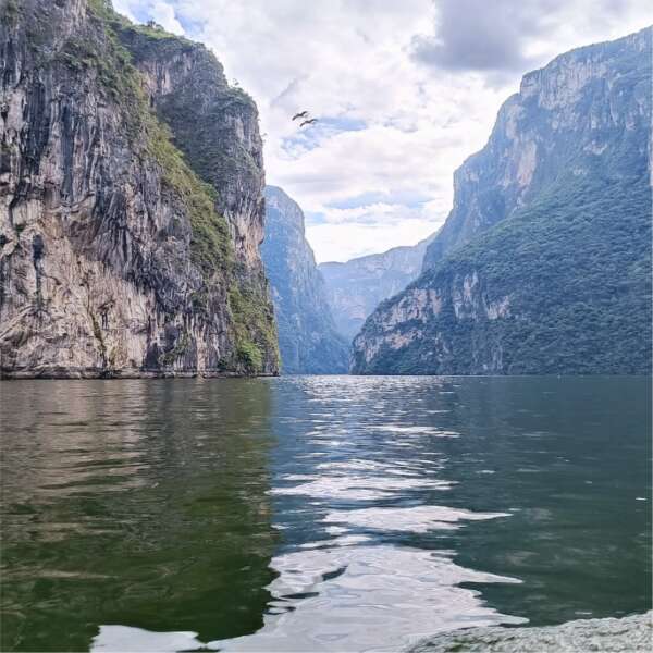 Chiapas<br>Noviembre 2024